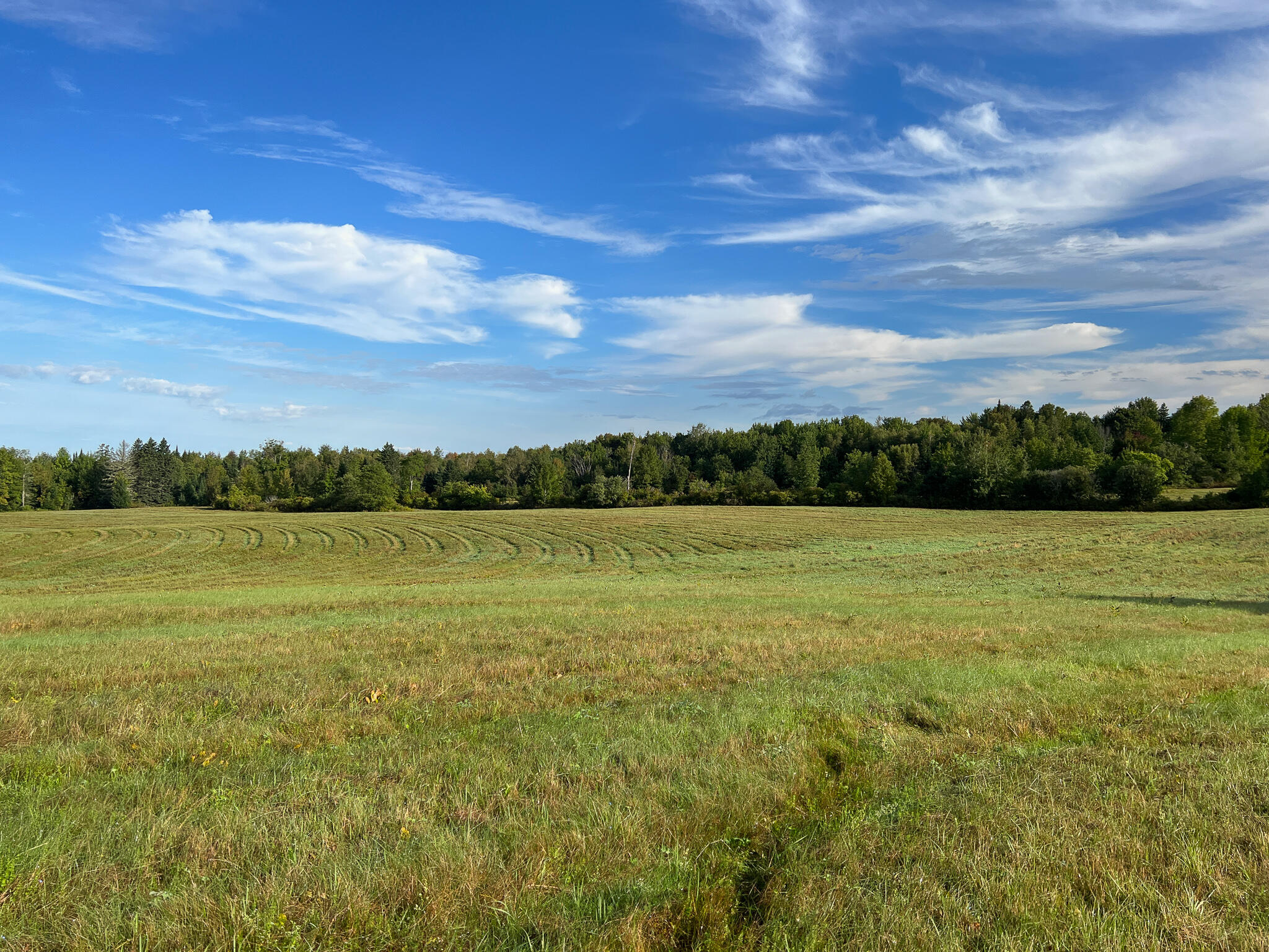 169 Prentiss Twp T7 R3 Nbpp Me 04487 Springfield, ME 04487 - Photo 11 of 41 IMG_1105
