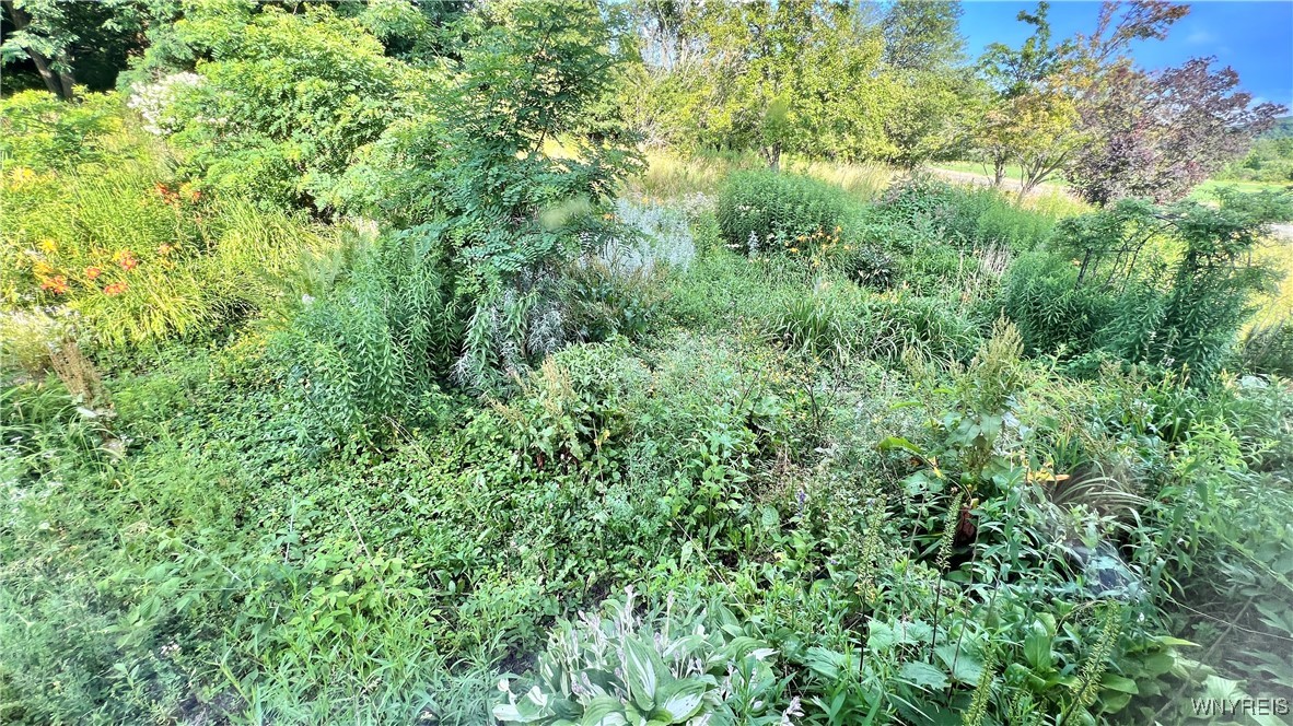 7320 East Flats Road East Otto, NY 14729 - Photo 27 of 50