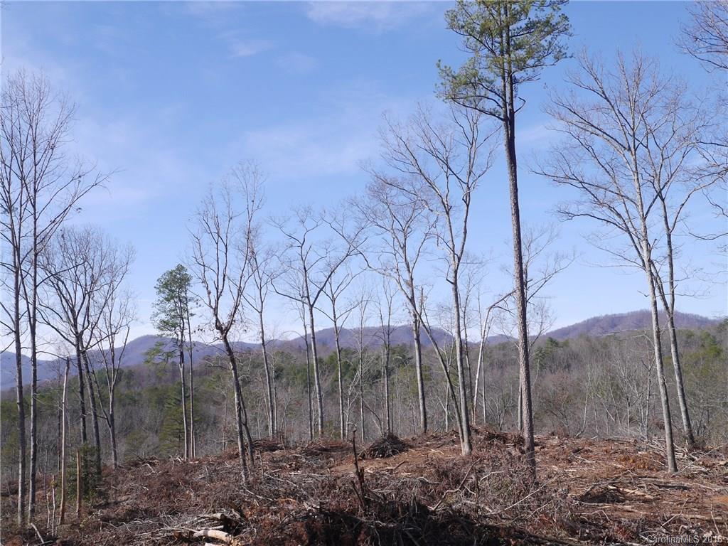 Tbd Silvers Welch Road Old Fort, NC 28762 - Photo 1 of 22 Gallery Image 1