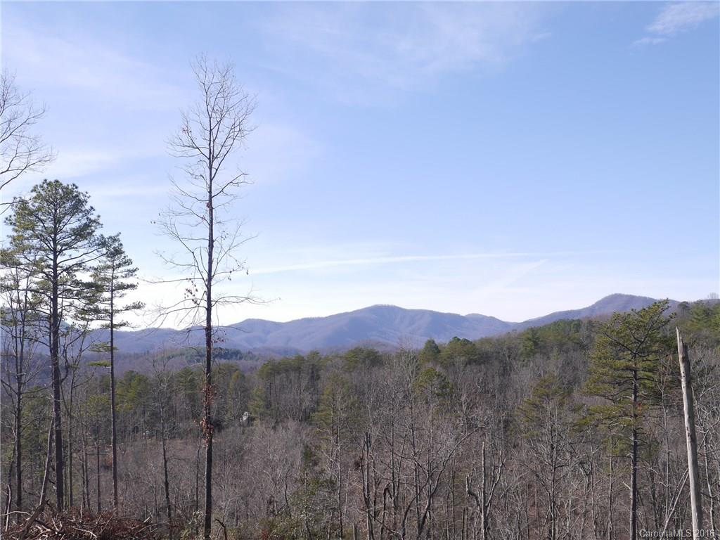 Tbd Silvers Welch Road Old Fort, NC 28762 - Photo 2 of 22 Gallery Image 2
