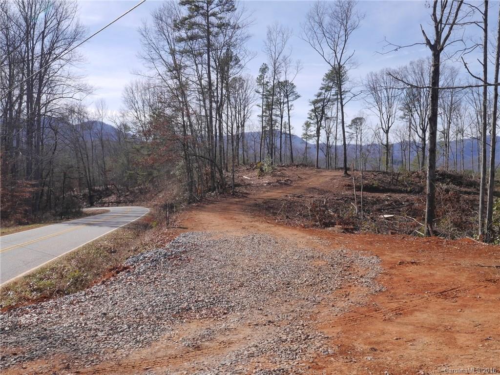 Tbd Silvers Welch Road Old Fort, NC 28762 - Photo 11 of 22 Gallery Image 11