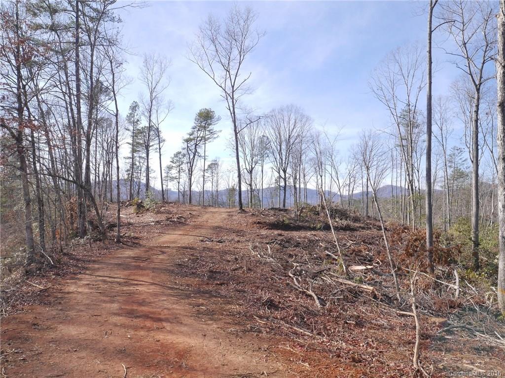 Tbd Silvers Welch Road Old Fort, NC 28762 - Photo 12 of 22 Gallery Image 12