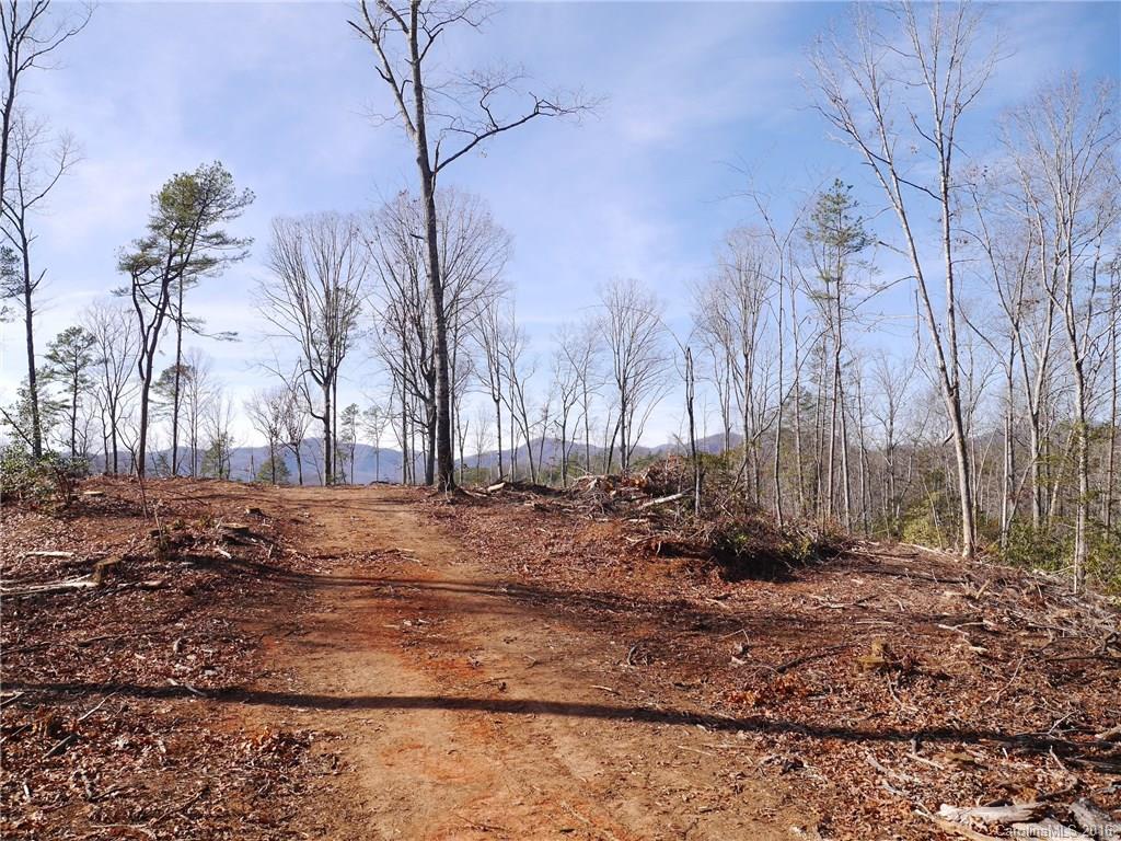 Tbd Silvers Welch Road Old Fort, NC 28762 - Photo 13 of 22 Gallery Image 13