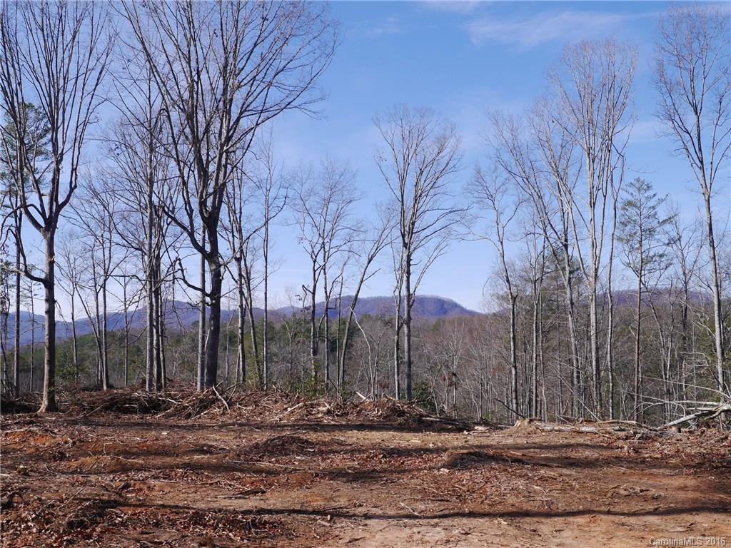 Tbd Silvers Welch Road Old Fort, NC 28762 - Photo 14 of 22 Gallery Image 14
