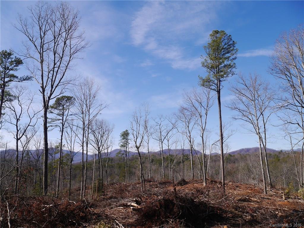 Tbd Silvers Welch Road Old Fort, NC 28762 - Photo 16 of 22 Gallery Image 16