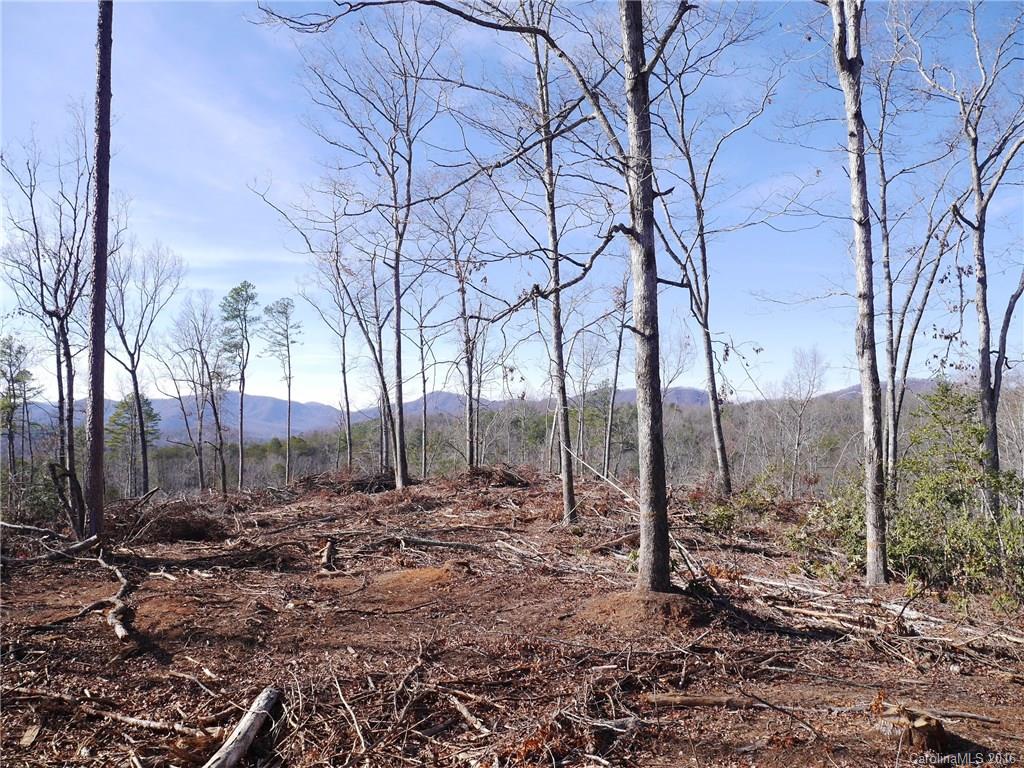 Tbd Silvers Welch Road Old Fort, NC 28762 - Photo 17 of 22 Gallery Image 17
