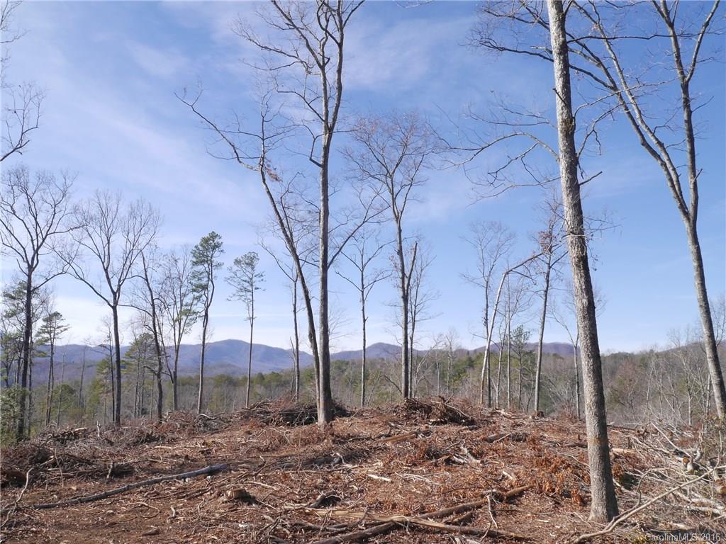 Tbd Silvers Welch Road Old Fort, NC 28762 - Photo 18 of 22 Gallery Image 18