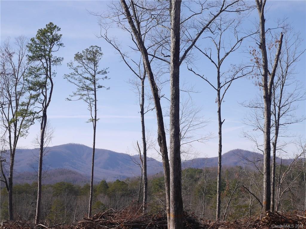 Tbd Silvers Welch Road Old Fort, NC 28762 - Photo 19 of 22 Gallery Image 19
