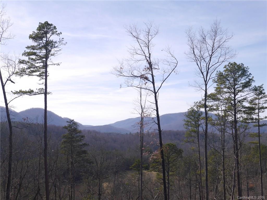 Tbd Silvers Welch Road Old Fort, NC 28762 - Photo 20 of 22 Gallery Image 20