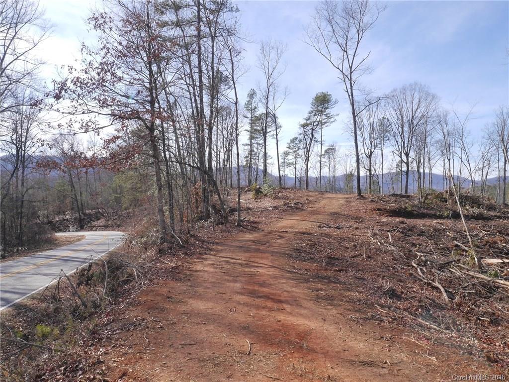 Tbd Silvers Welch Road Old Fort, NC 28762 - Photo 3 of 22 Gallery Image 3