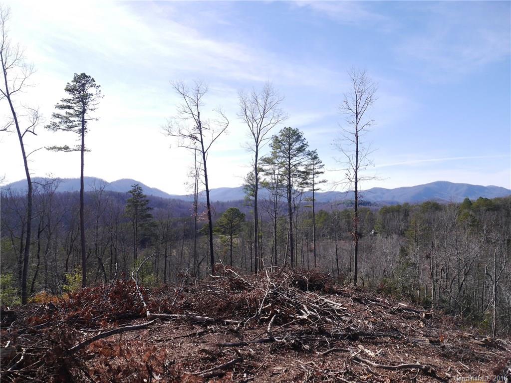 Tbd Silvers Welch Road Old Fort, NC 28762 - Photo 21 of 22 Gallery Image 21