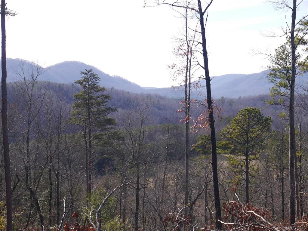 Tbd Silvers Welch Road Old Fort, NC 28762 - Photo 22 of 22 Gallery Image 22