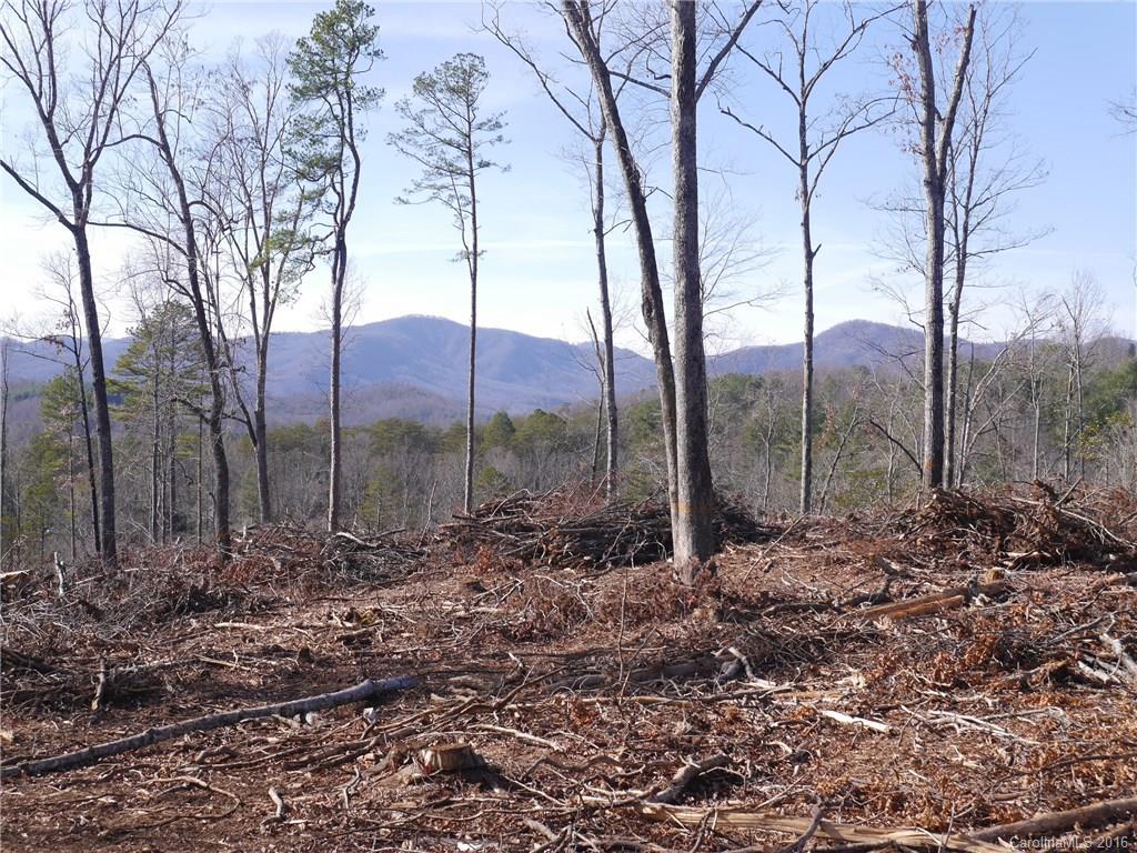 Tbd Silvers Welch Road Old Fort, NC 28762 - Photo 4 of 22 Gallery Image 4