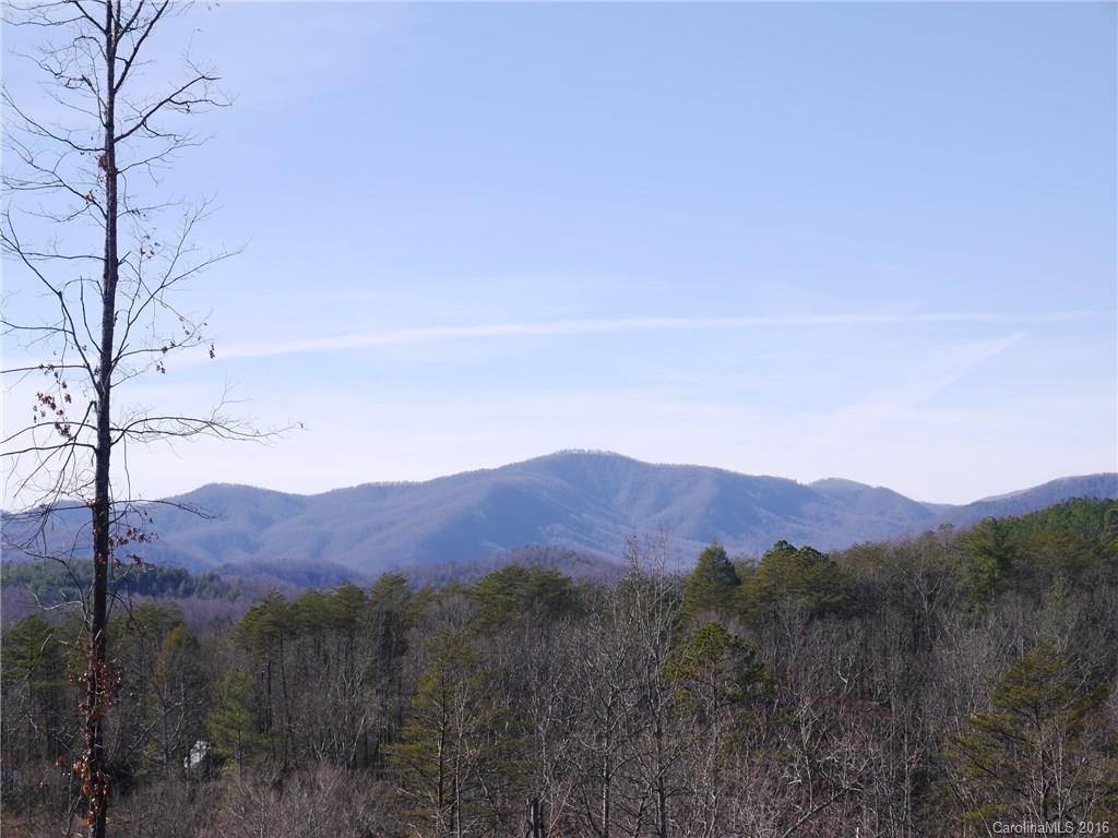 Tbd Silvers Welch Road Old Fort, NC 28762 - Photo 5 of 22 Gallery Image 5