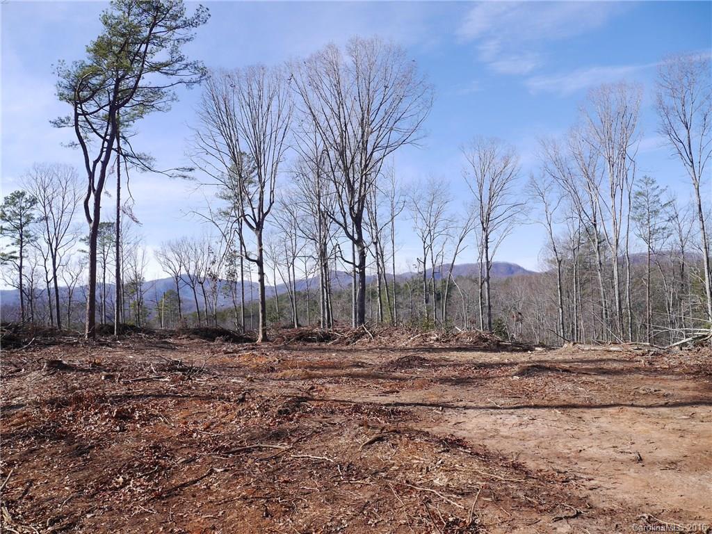 Tbd Silvers Welch Road Old Fort, NC 28762 - Photo 6 of 22 Gallery Image 6