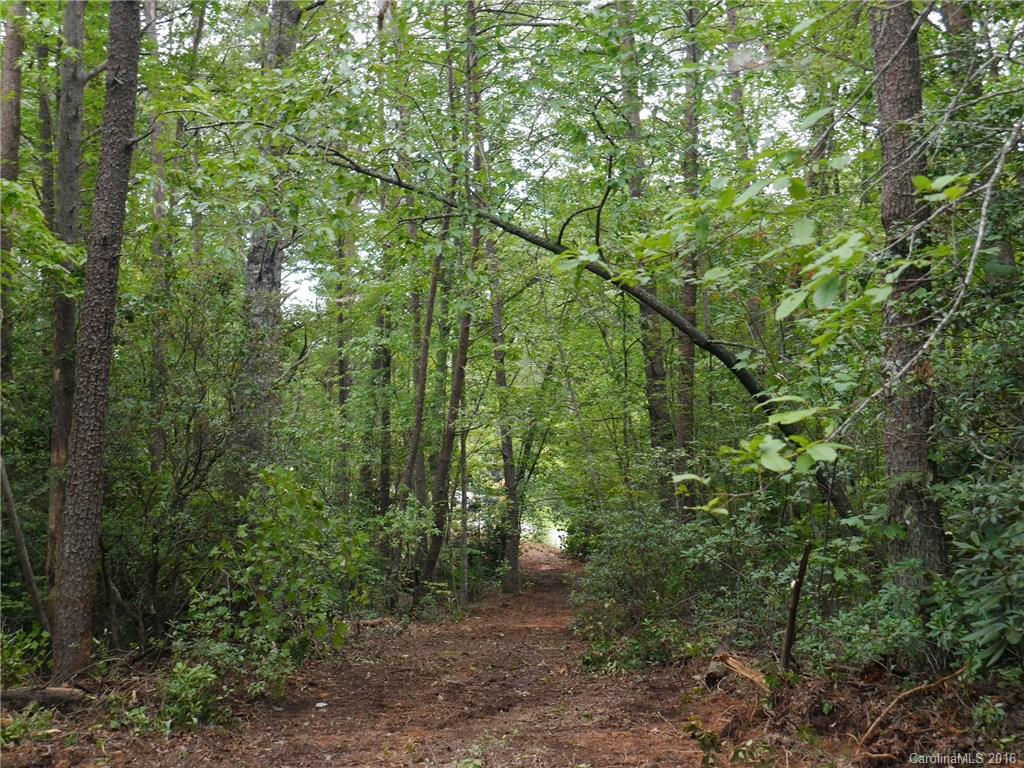 Tbd Silvers Welch Road Old Fort, NC 28762 - Photo 8 of 22 Gallery Image 8