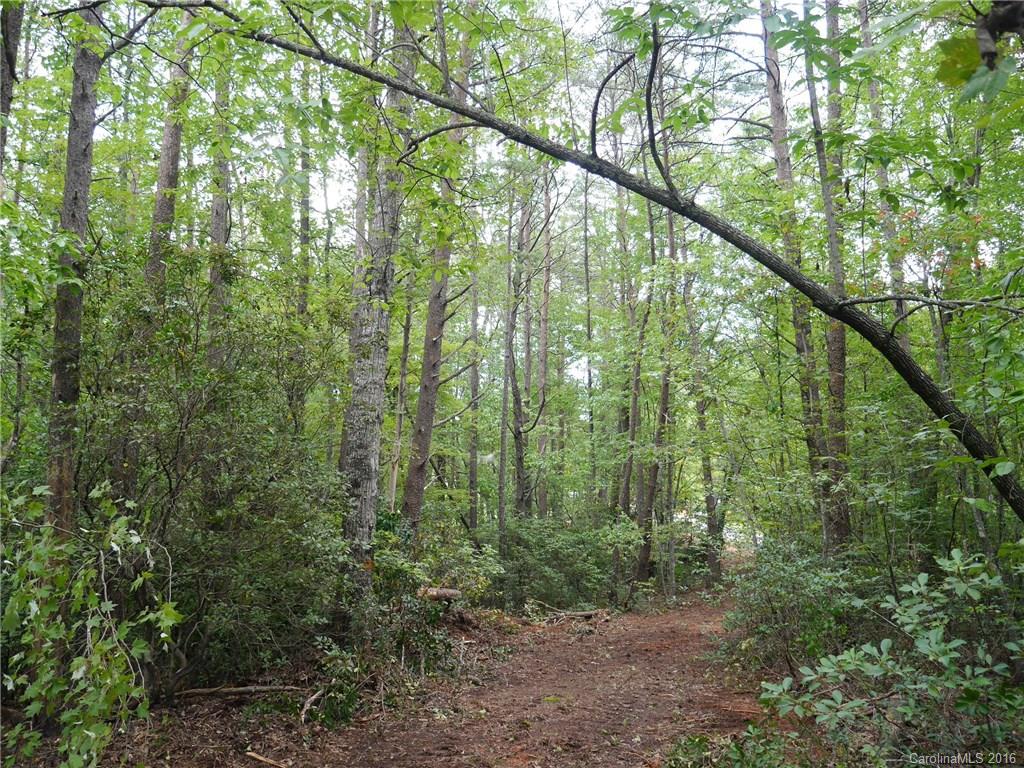 Tbd Silvers Welch Road Old Fort, NC 28762 - Photo 10 of 22 Gallery Image 10