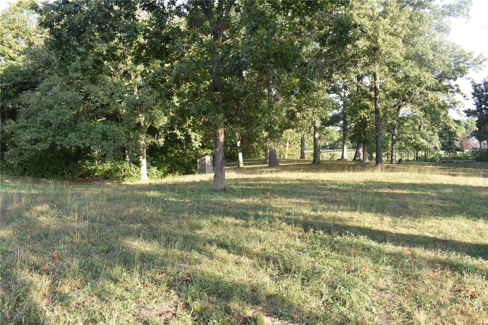 0 Reservoir Road Staunton, IL 62088 - Photo 2 of 5