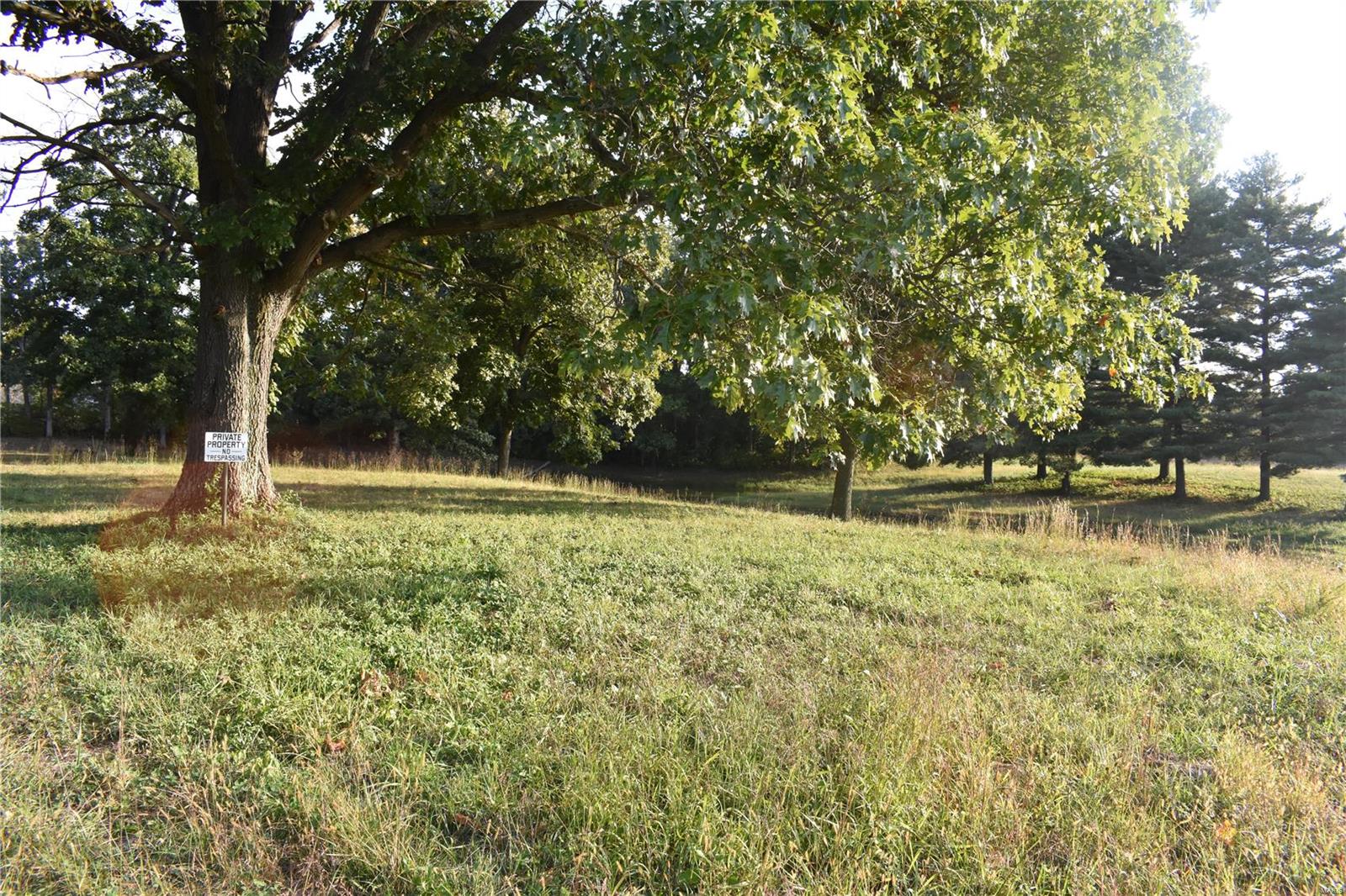 0 Reservoir Road Staunton, IL 62088 - Photo 3 of 5