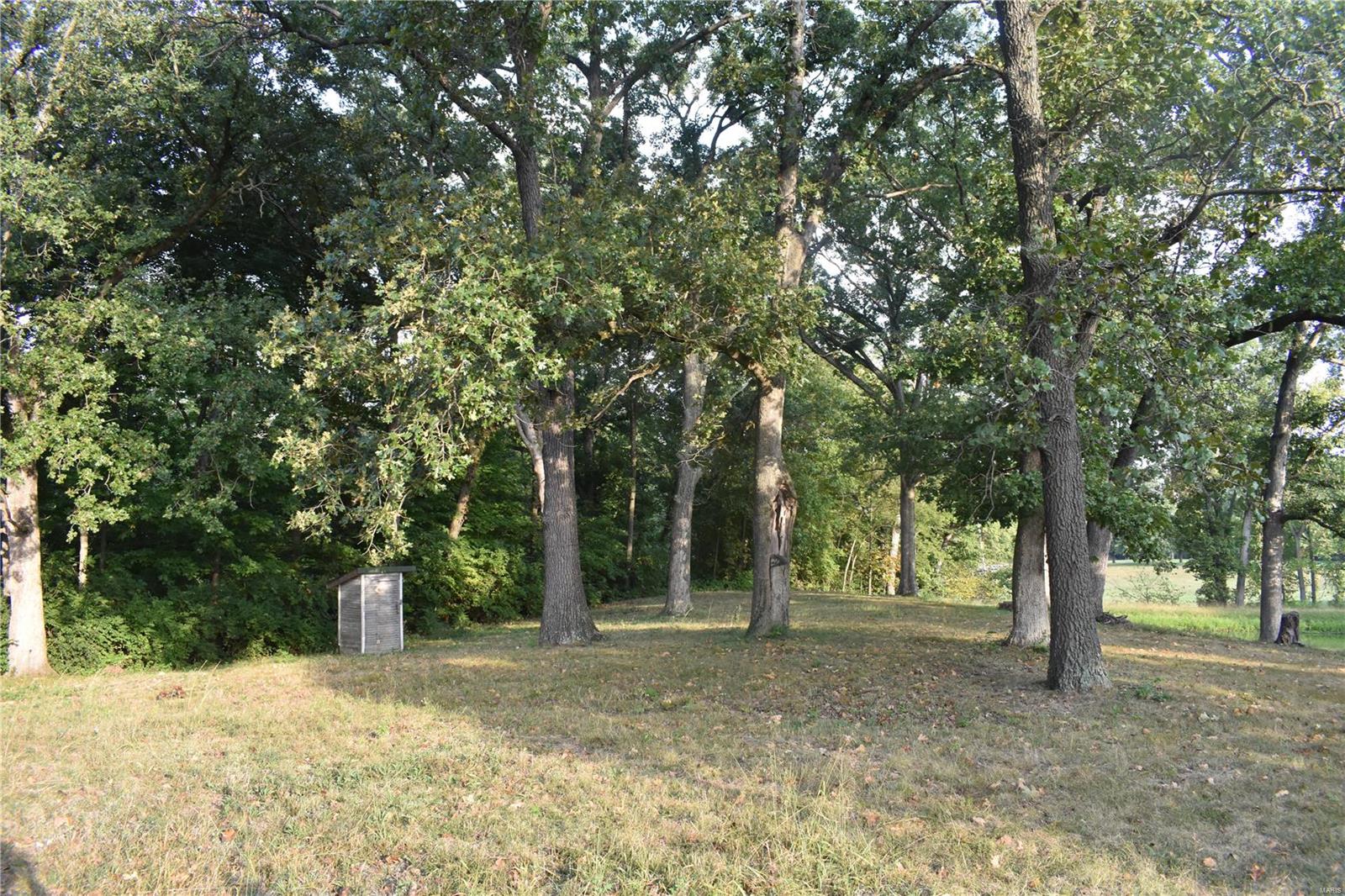 0 Reservoir Road Staunton, IL 62088 - Photo 4 of 5