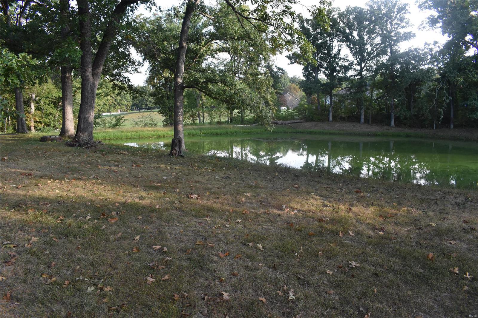 0 Reservoir Road Staunton, IL 62088 - Photo 5 of 5
