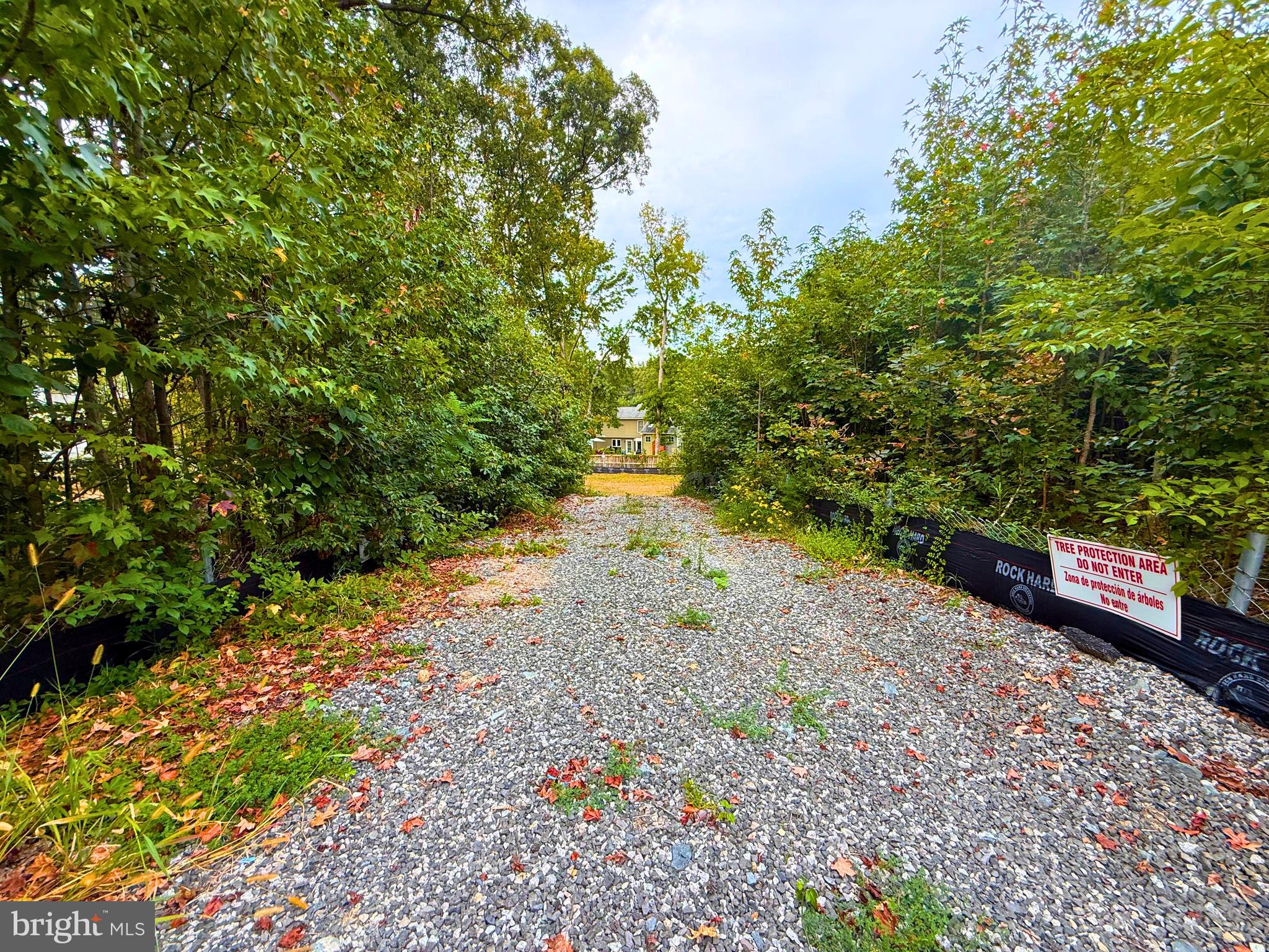 8811 Ox Road Fairfax Station, VA 22039 - Photo 1 of 12 a view of a yard with plants and large trees
