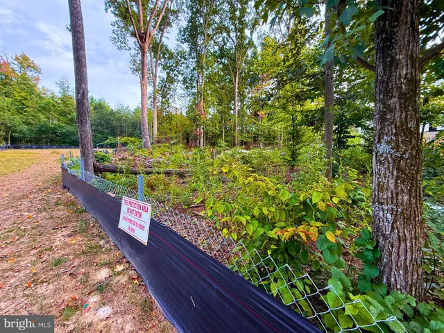a view of a pathway with a park
