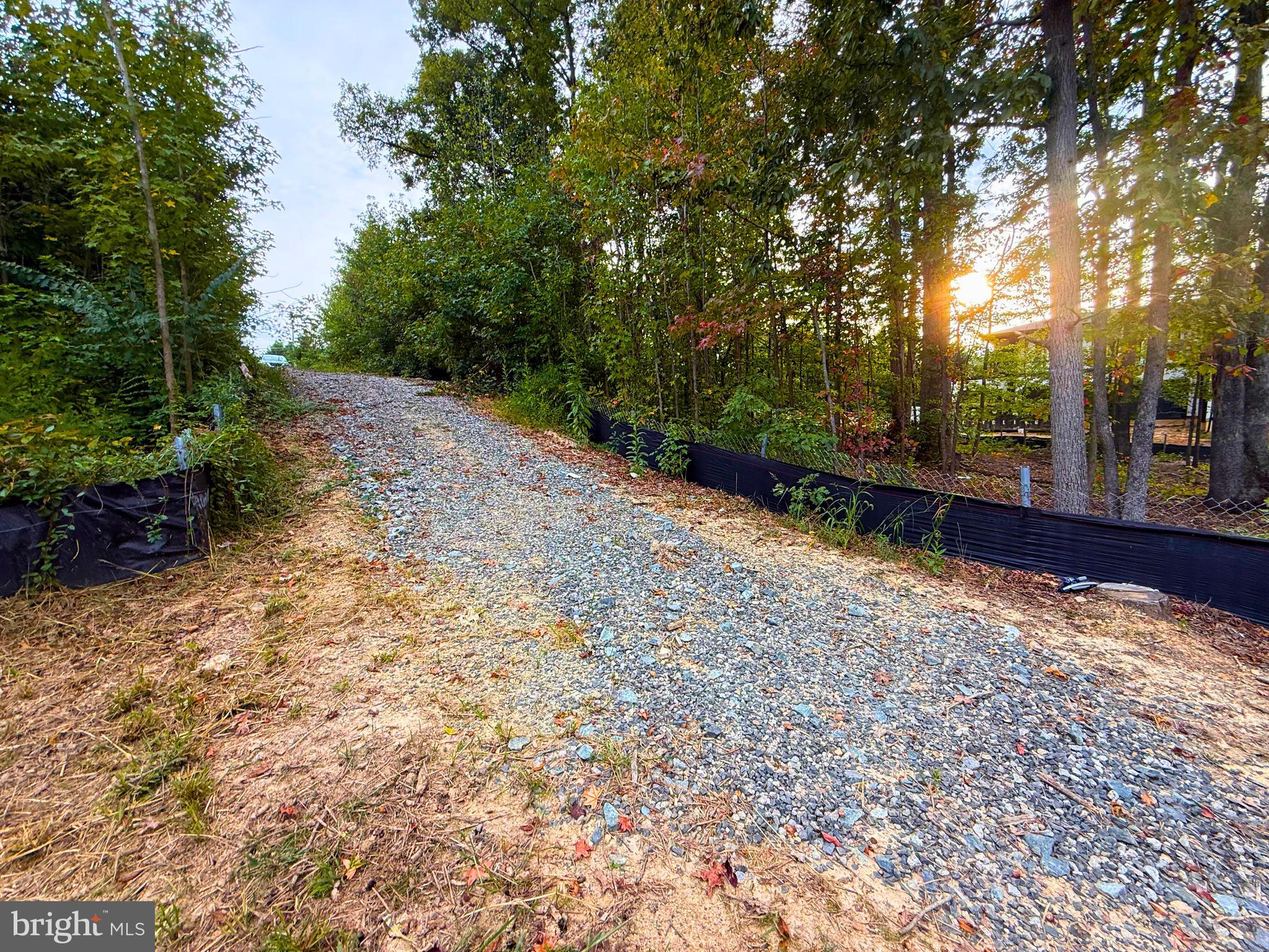 8811 Ox Road Fairfax Station, VA 22039 - Photo 8 of 12 a view of a yard with plants and trees