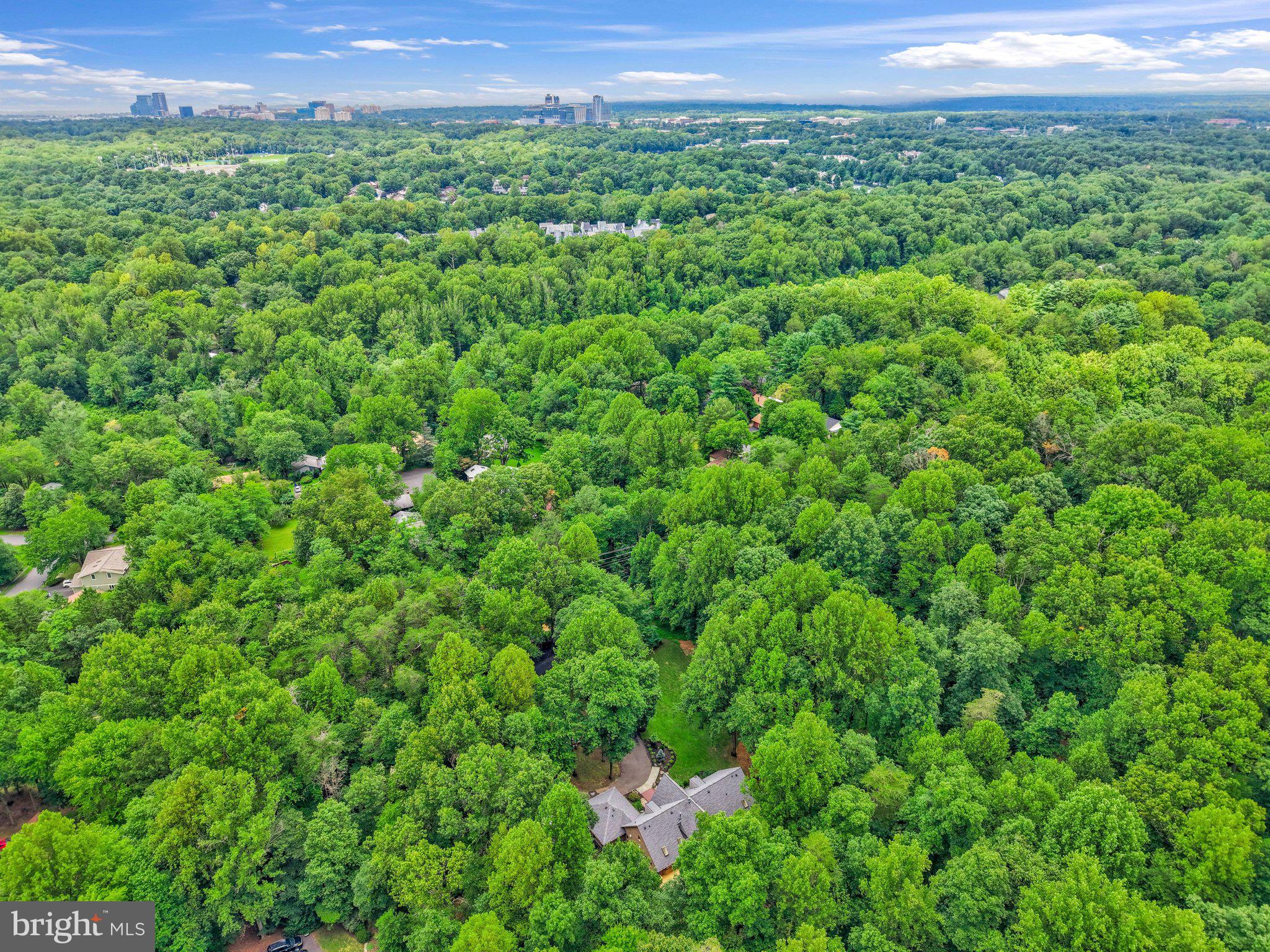 11111 Lawyers Road Reston, VA 20191 - Photo 2 of 121 View of the Reston Skyline w/home in lower center