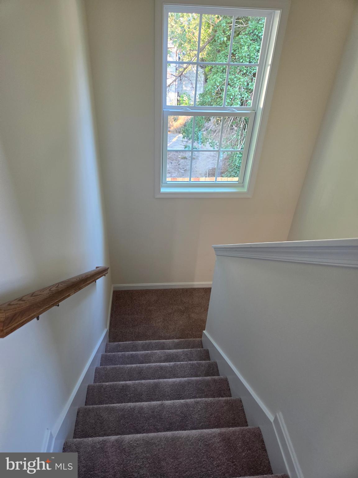 411 West Reed Street Dover, DE 19904 - Photo 16 of 24