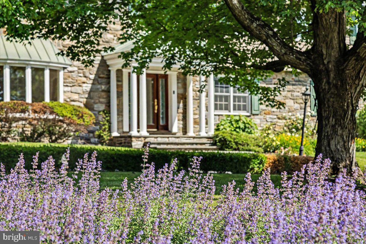 1087 Mt Eyre Road Washington Crossing, PA 18977 - Photo 6 of 78