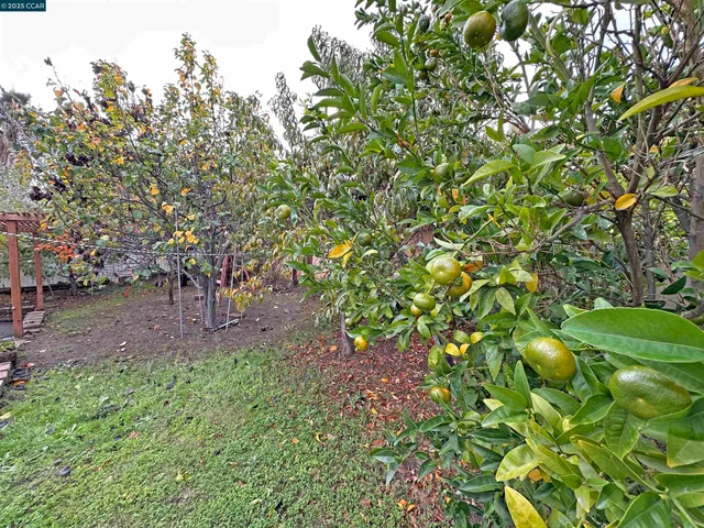 $490,000 | 2054 Mendocino Drive, Bay Point, CA 94565