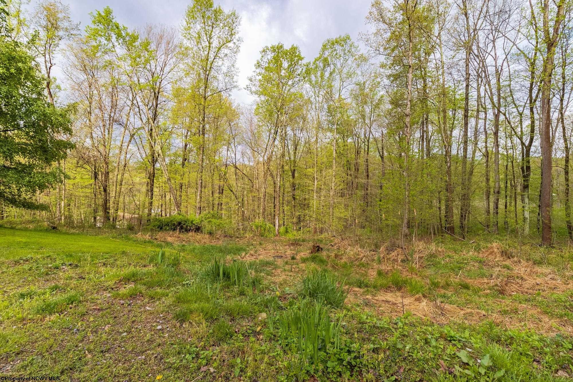 1114 Grafton Road Morgantown, WV 26508 - Photo 22 of 23 Gallery Image 22