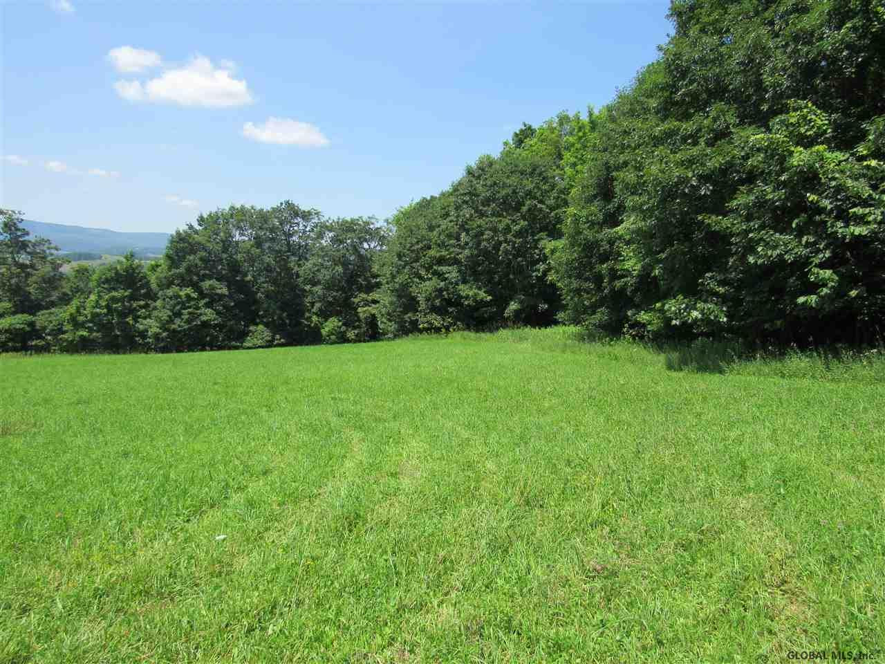 0 Rhinebeck Road Cobleskill, NY 12043 - Photo 3 of 3 Photo 3