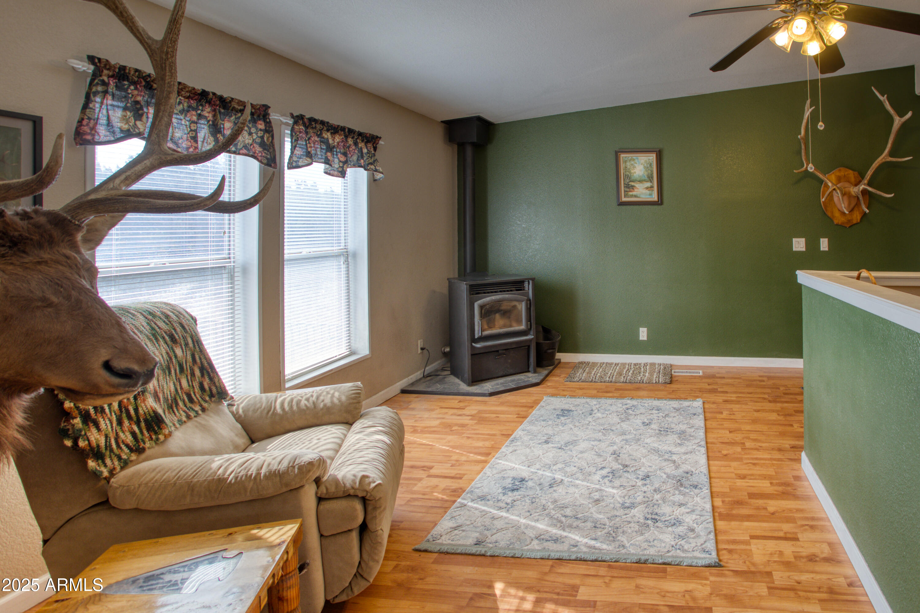 125 County Rd N3077 Show Low, AZ 85901 - Photo 15 of 71 a living room with furniture and a flat screen tv