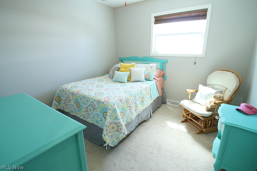 209 Rustic Rook Road Chippewa Lake, OH 44215 - Photo 13 of 35 Gallery Image 13