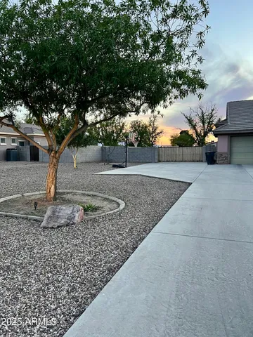 a view of a yard with trees