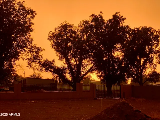 a view of outdoor space with trees
