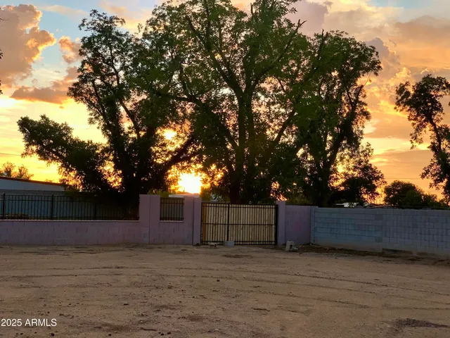 a view of a backyard