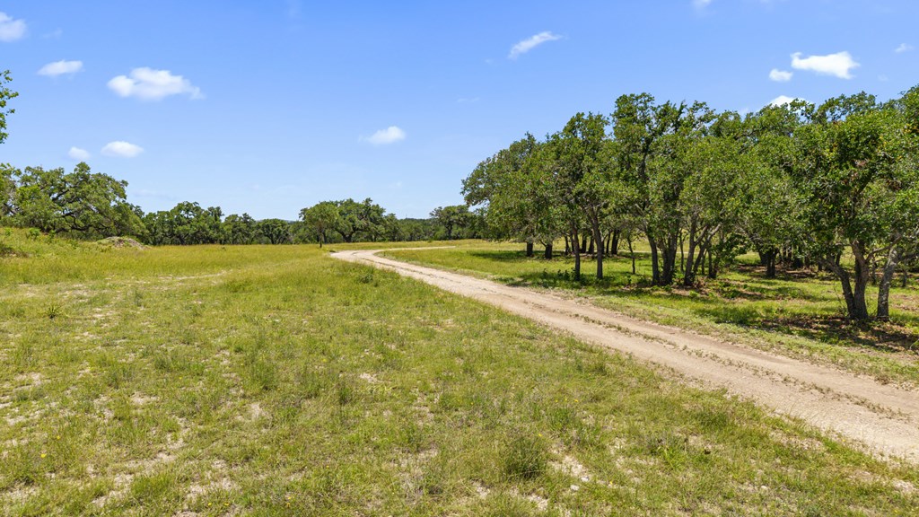 Tbd West Lindeman Lane Blanco, TX 78606 - Photo 5 of 16