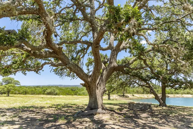 $1,750,000 | Tbd West Lindeman Lane, Blanco, TX 78606