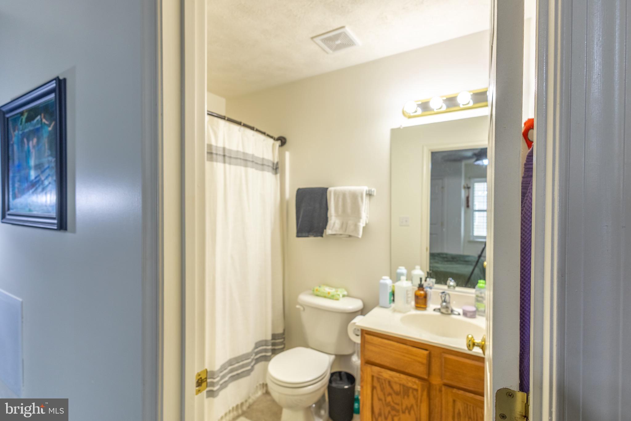 336 4th Street Colonial Beach, VA 22443 - Photo 18 of 23 a bathroom with a toilet a sink and mirror