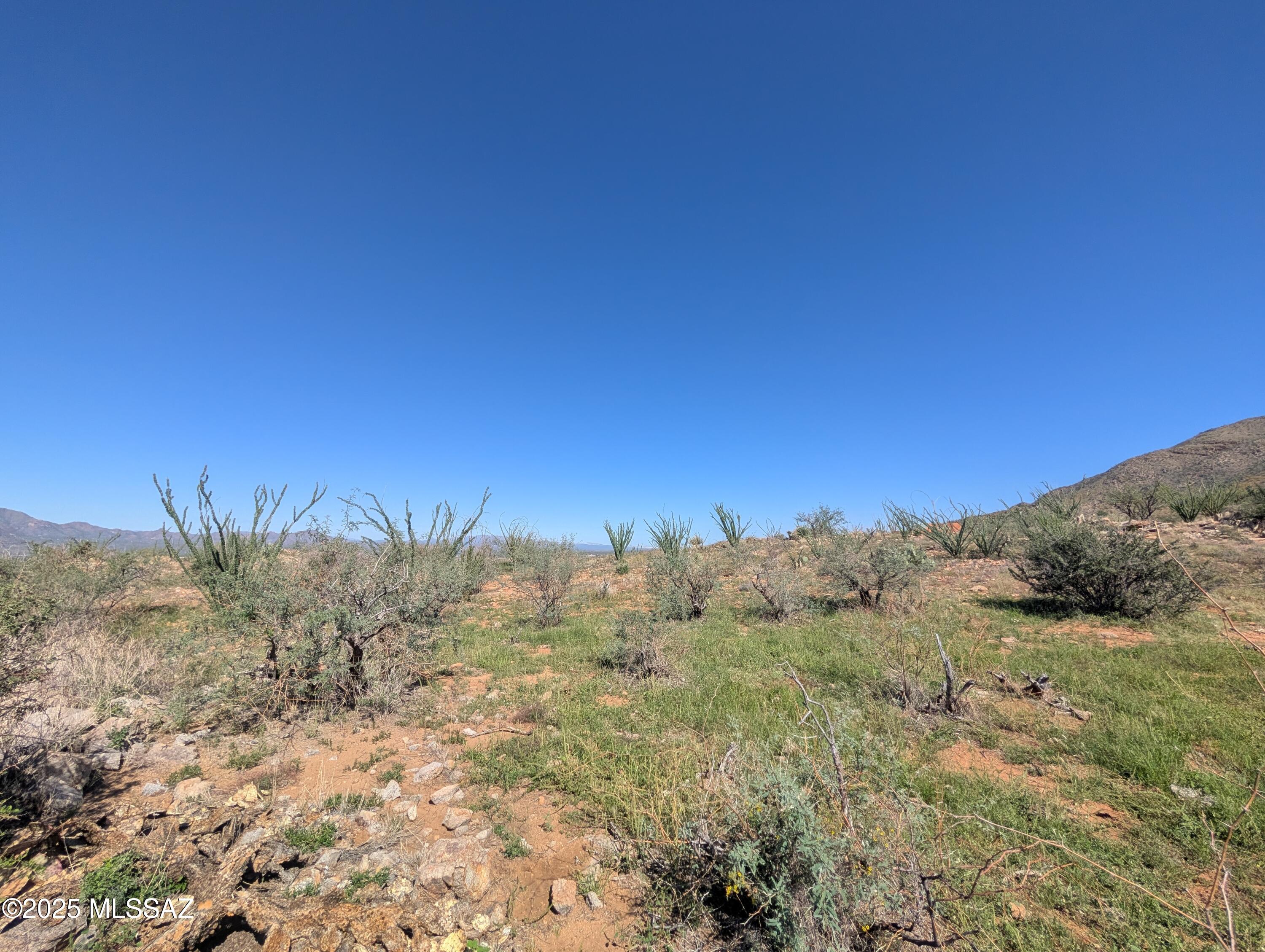 384 Esponja Court, Unit 90 Rio Rico, AZ 85648 - Photo 6 of 7 Gallery Image 6