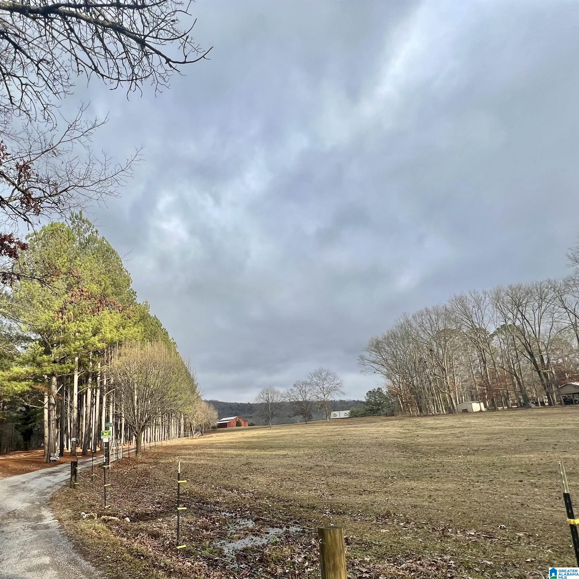 200 Carter Drive Springville, AL 35146 - Photo 66 of 66