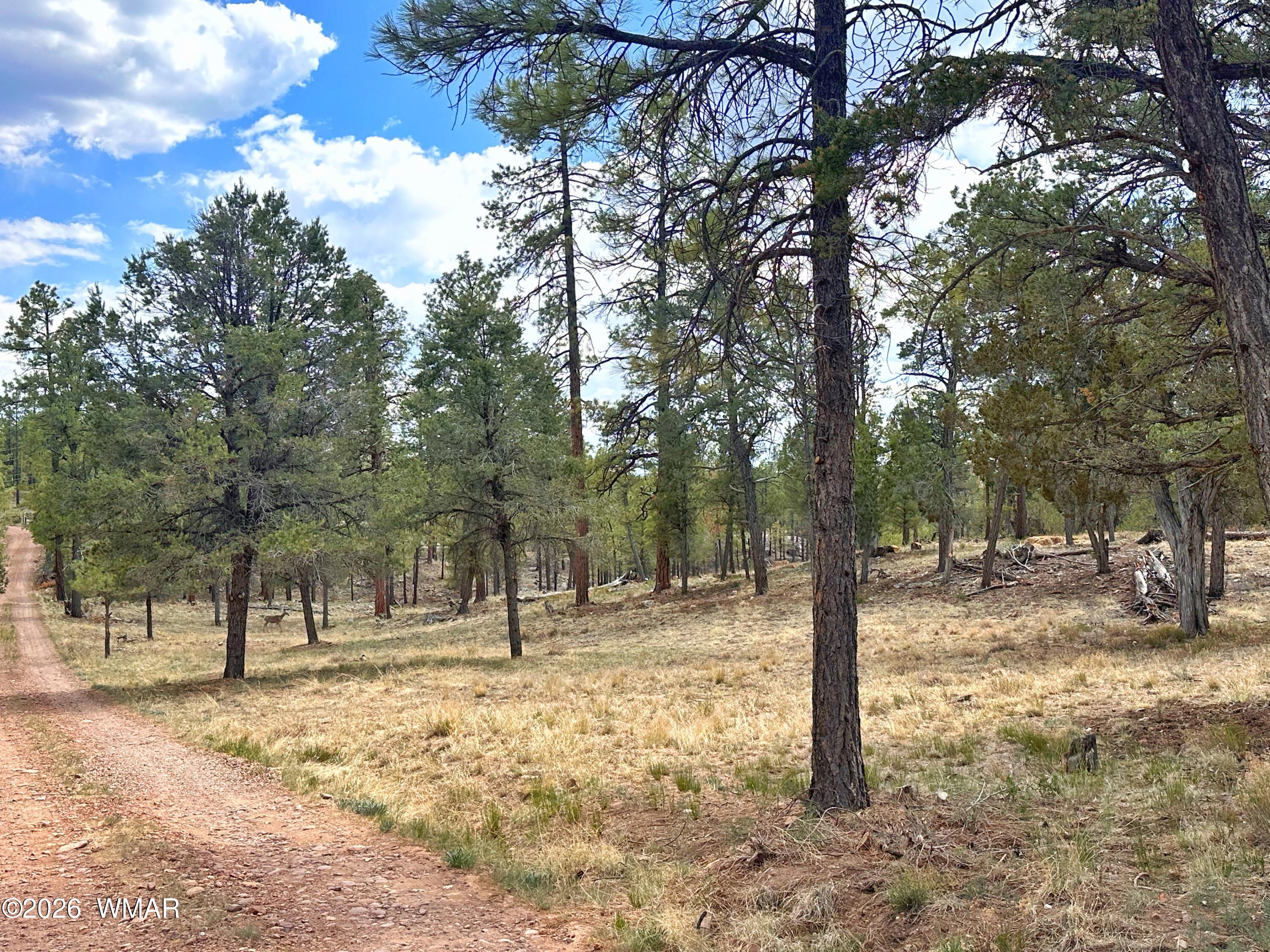 007 H Chevelon Road Heber, AZ 85928 - Photo 5 of 12