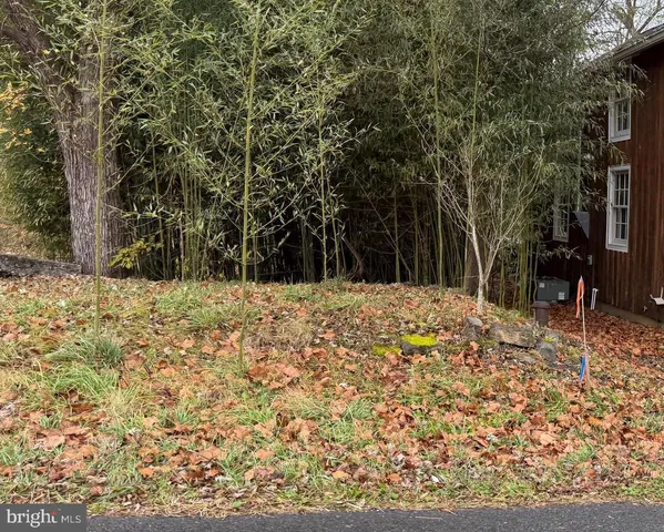 $95,000 | Millwood Road, Boyce, VA 22620