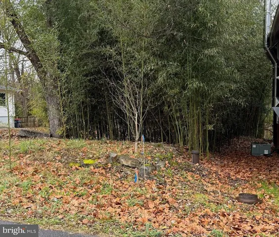 $95,000 | Millwood Road, Boyce, VA 22620