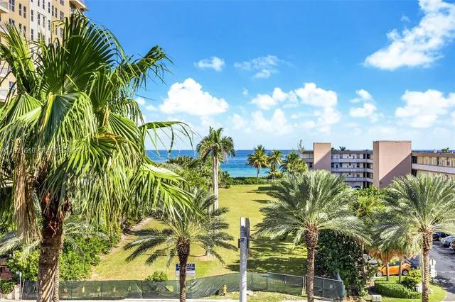 a view of a flower in a garden