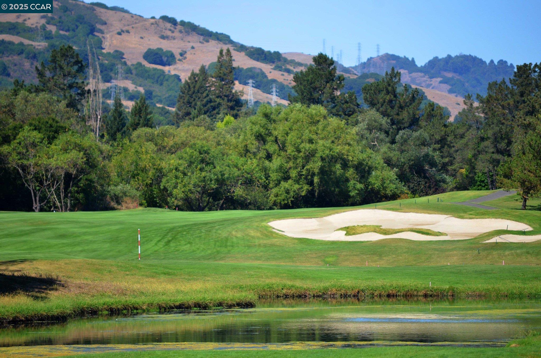 20 Tamarisk Moraga, CA 94556 - Photo 15 of 18 a view of a big yard with green space