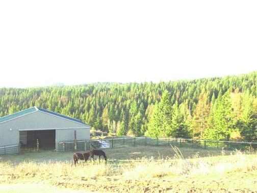 4305 B Grote Road Clayton, WA 99110 - Photo 8 of 8